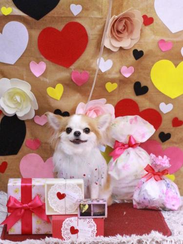 20230205くうくん